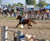 MN South News - Staff Photo - Create Article